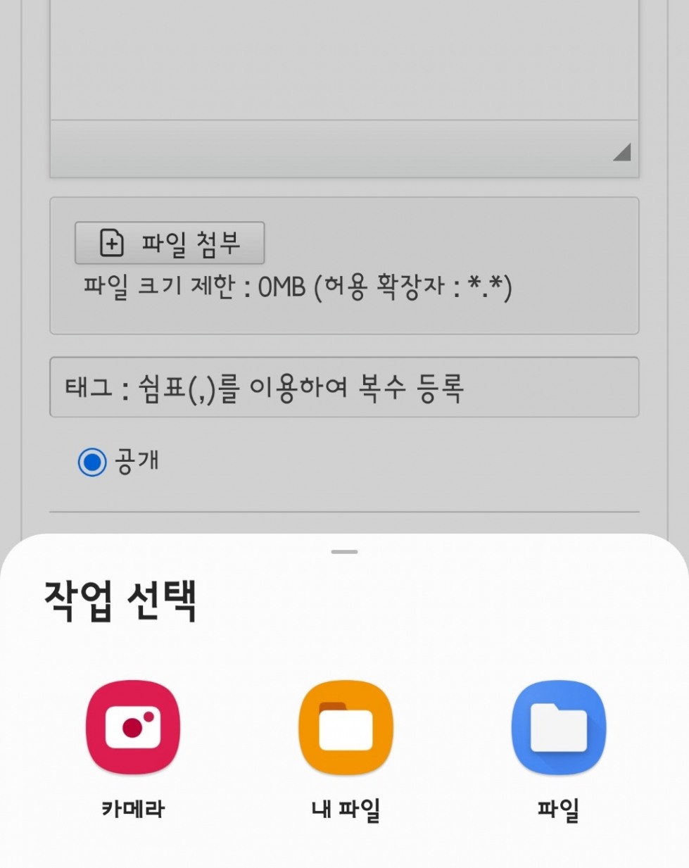 1274109.jpg