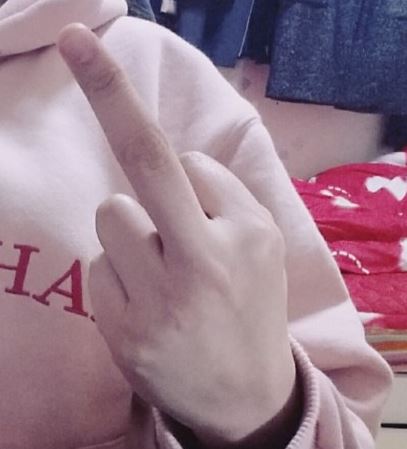 z.JPG