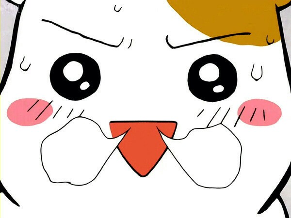 에비츄짤_(22).jpeg