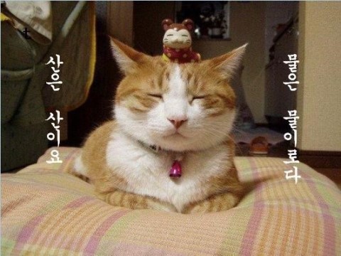 downloadfile-72.jpg