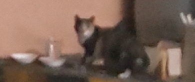 20180722_051128.jpg