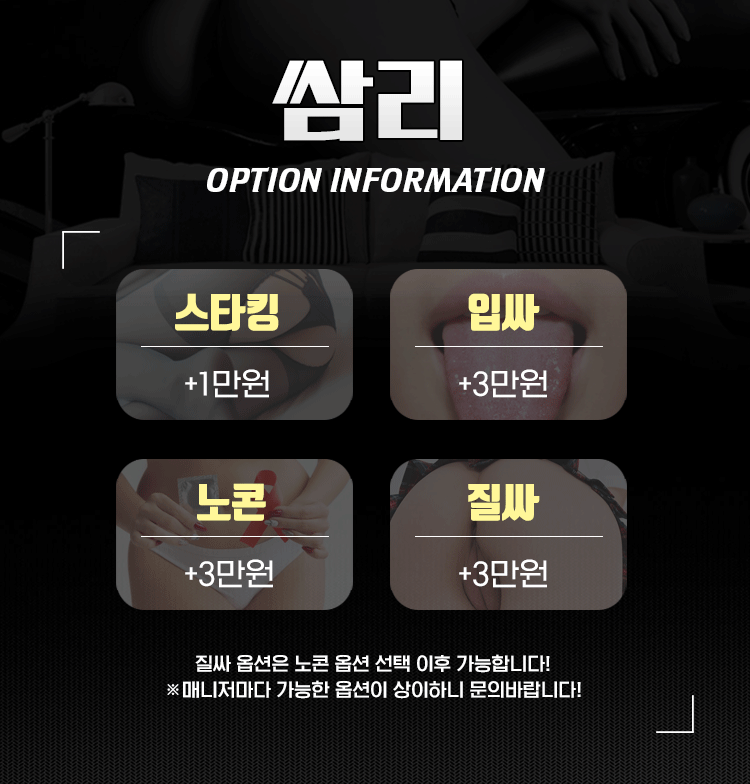3.옵션1.gif