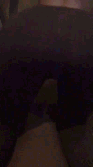 5.gif