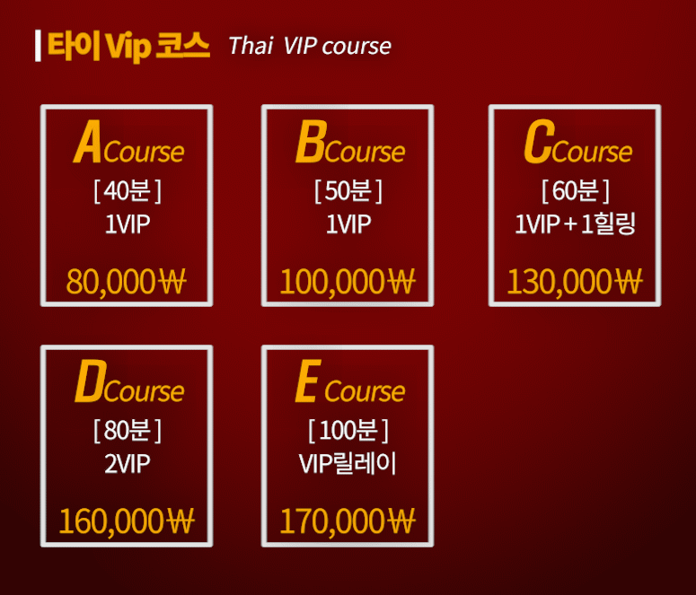 타이vip.png
