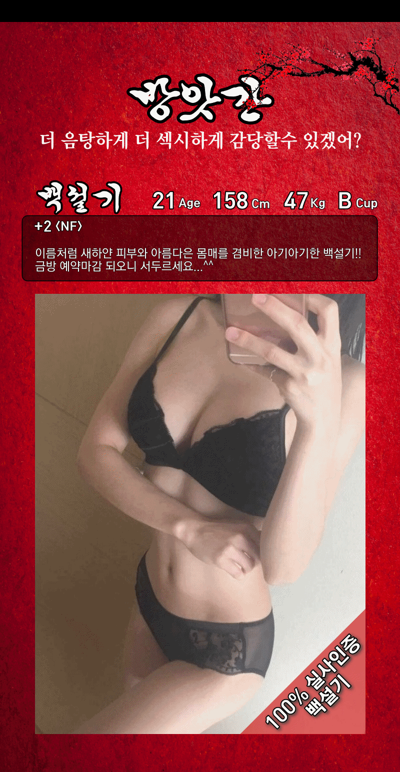 백설기.gif