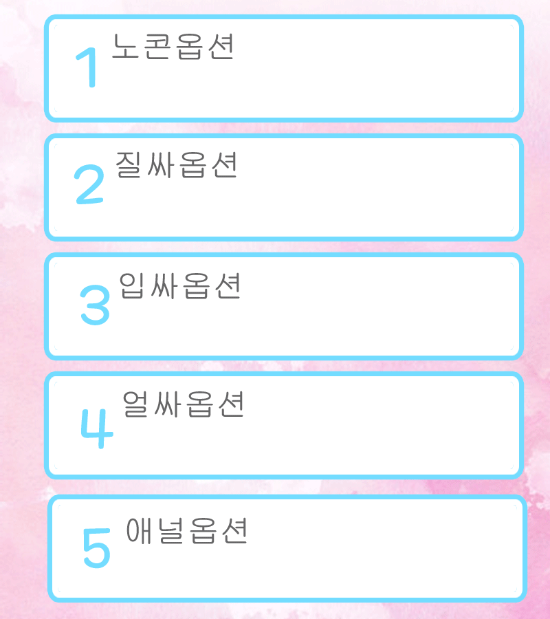 5옵션.gif
