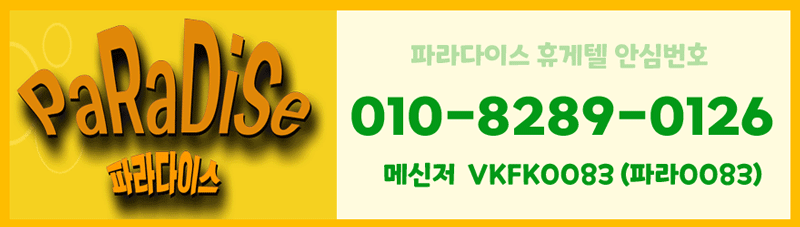파라전번.gif
