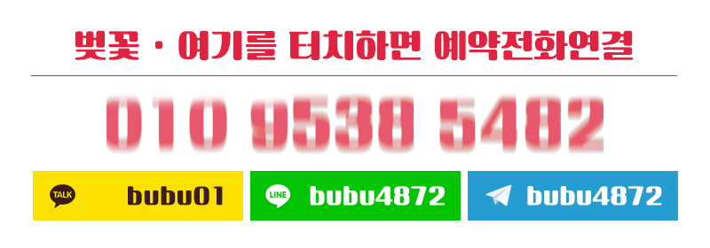 벚꽃최신번호.gif