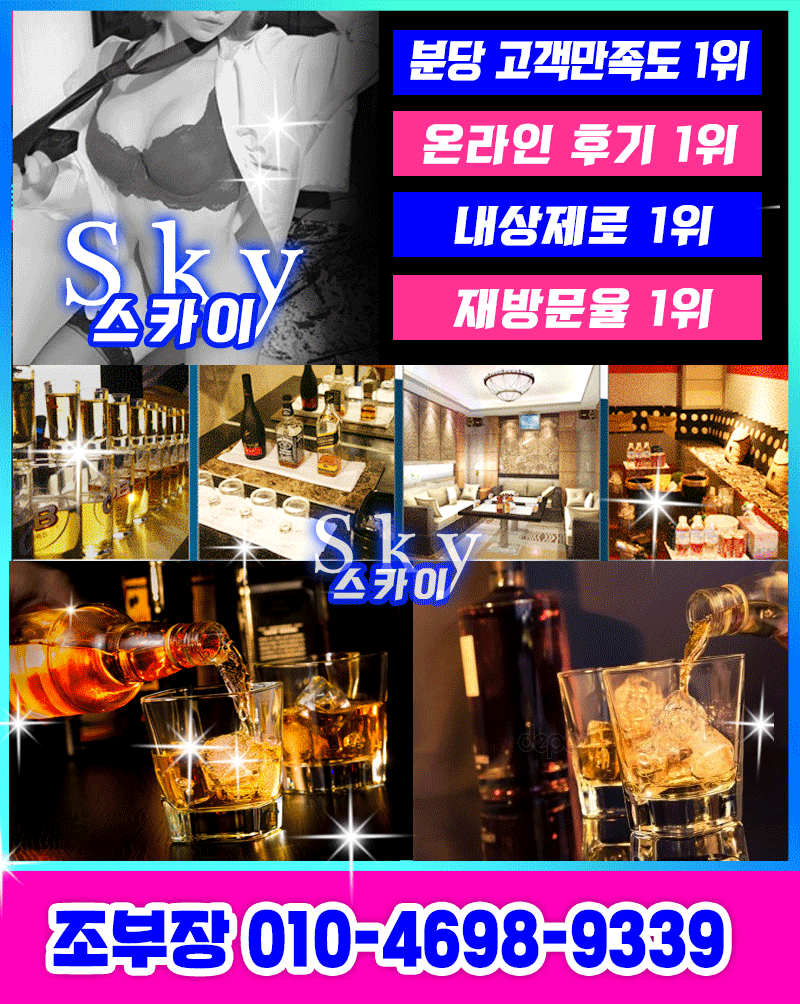 스카이-08.gif