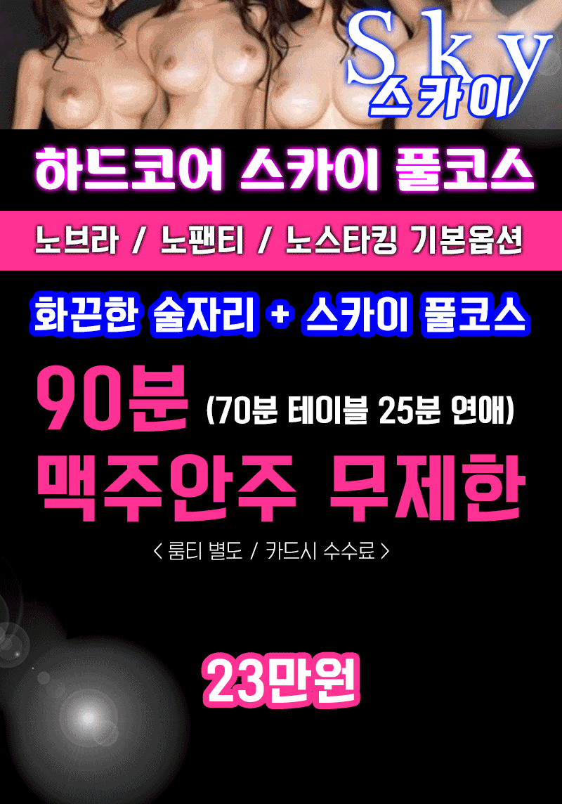 스카이-06.gif