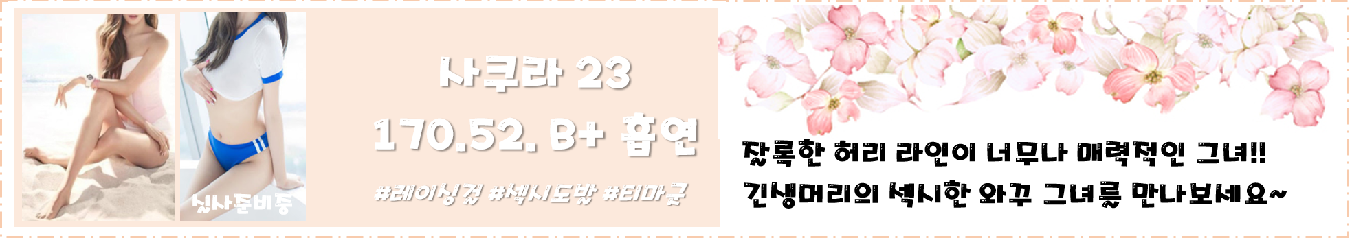 사쿠라.png