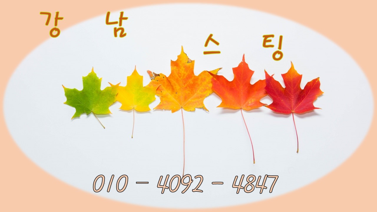 스팅1.jpg