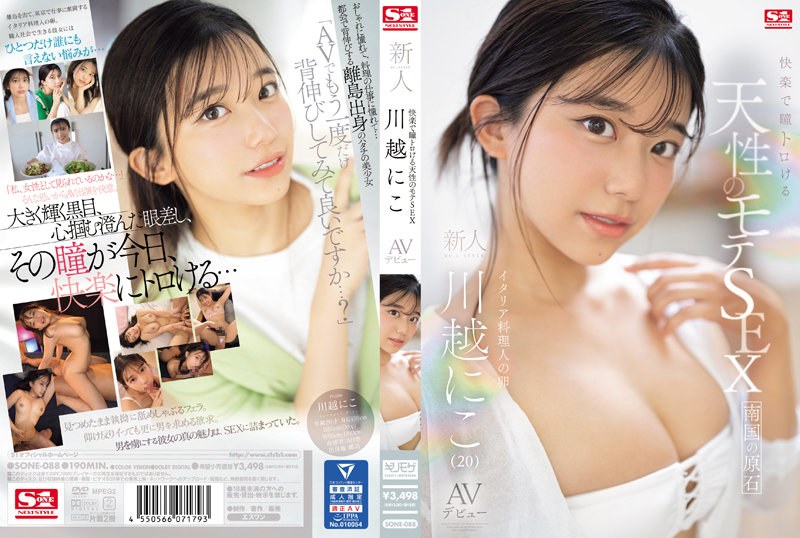 sone088pl.jpg