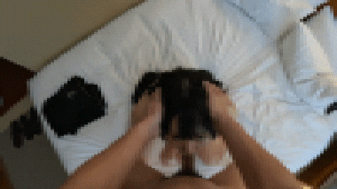 FC2-PPV-3930977-6.gif