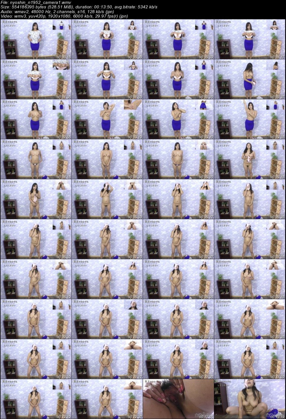 128767437_nyoshin_n1952_camera1.jpg