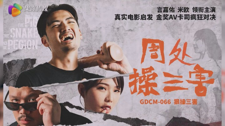 GDCM-066.png