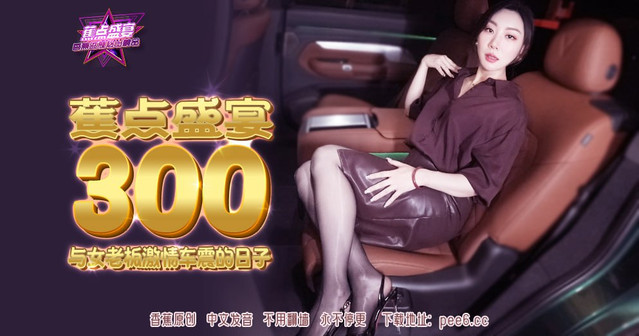 JDSY-300-1.jpg