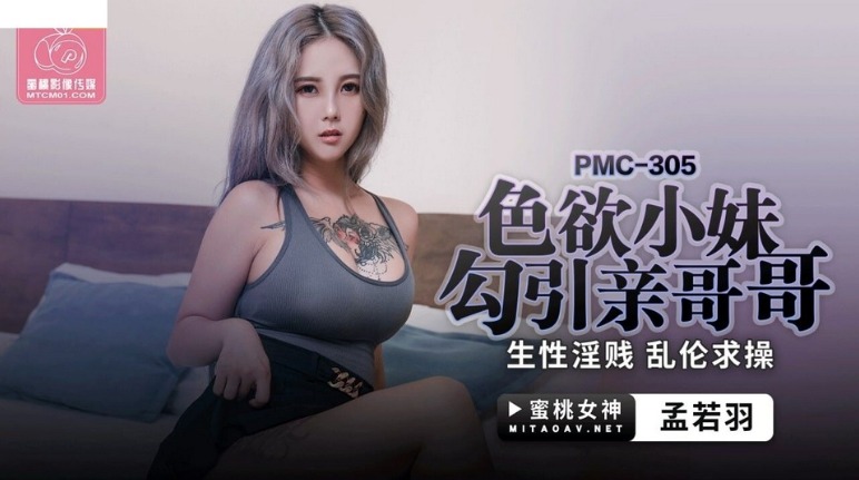 PMC-305.jpg
