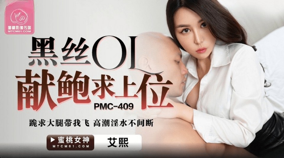 PMC-409.jpg