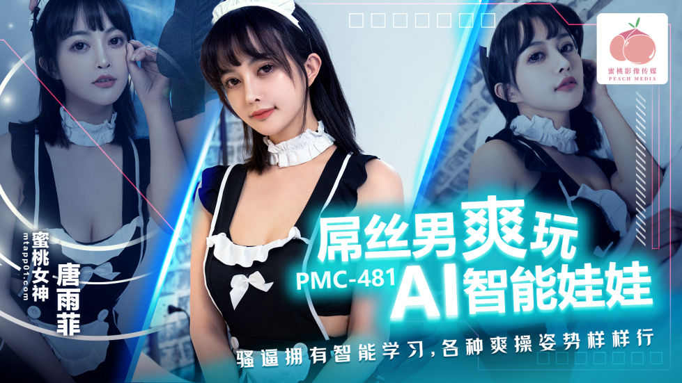 PMC-481.jpg