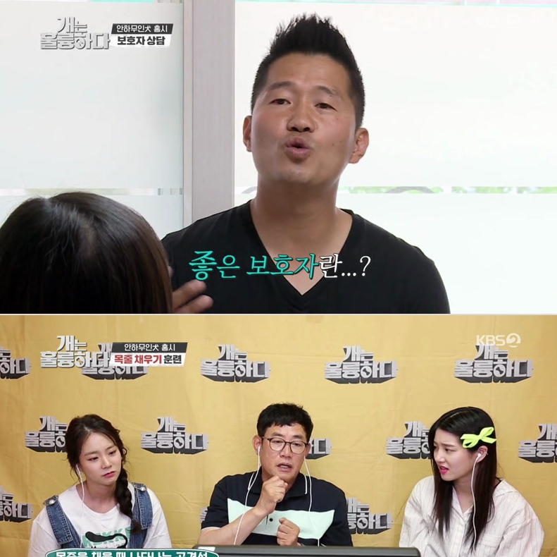 개는.jpg