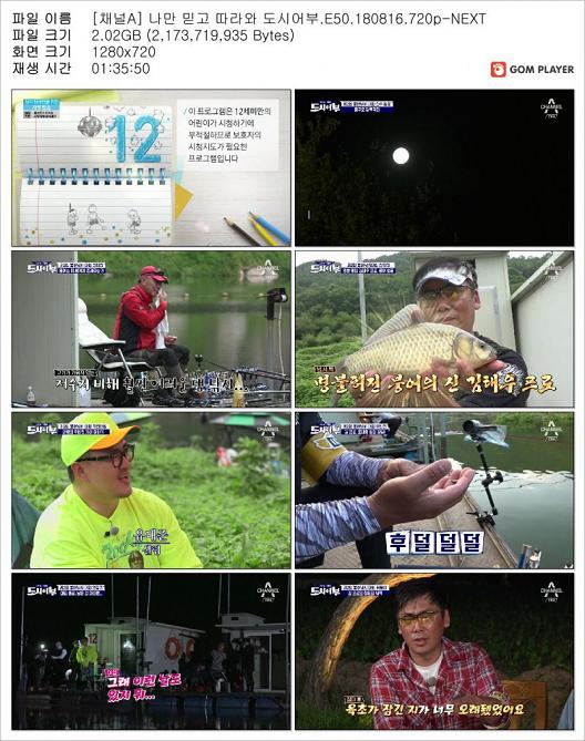 나만 믿고 따라와 도시어부.E50.180816.jpg