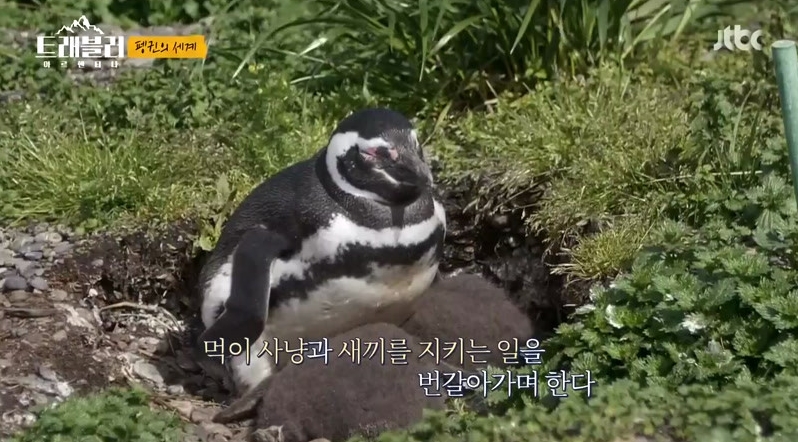 트레.jpg