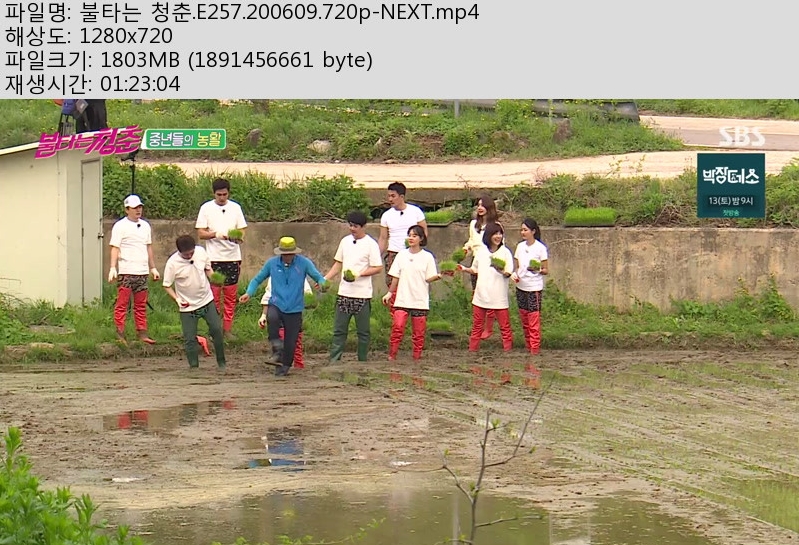 불타는청춘.jpg