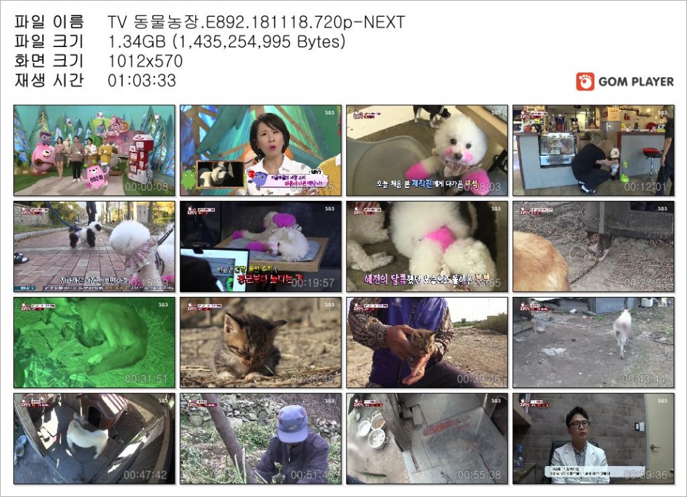 TV 동물농장.E892.181118.720p-NEXT_Snapshot.jpg