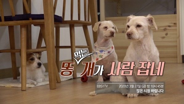 세상에나쁜개.jpg