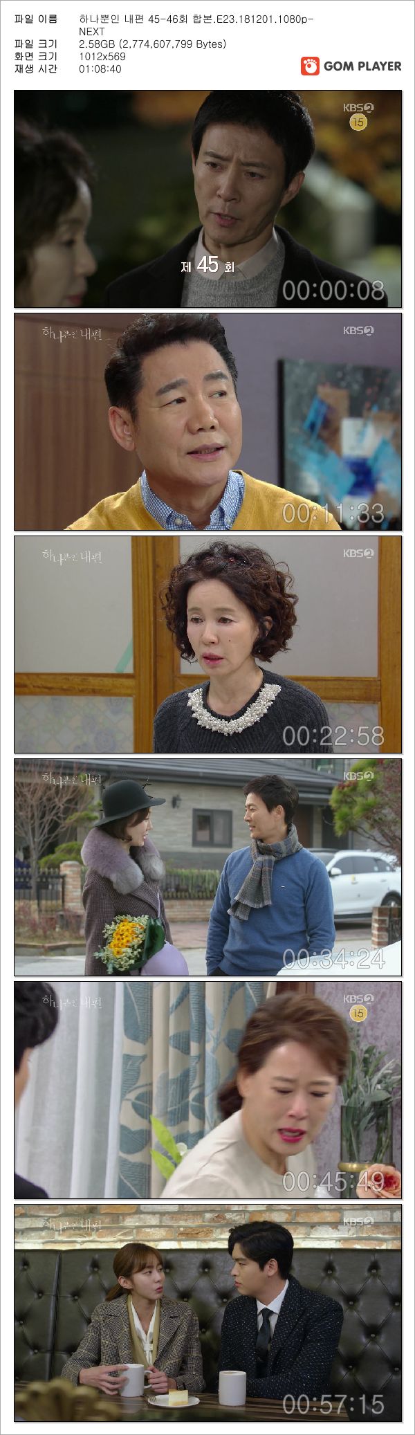 하나뿐인 내편 45-46회 합본.E23.181201.1080p-NEXT_Snapshot.jpg