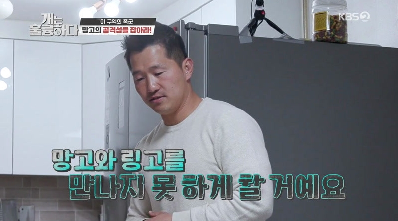개.jpg