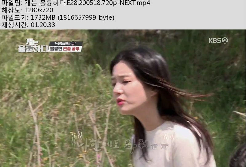 개는.jpg