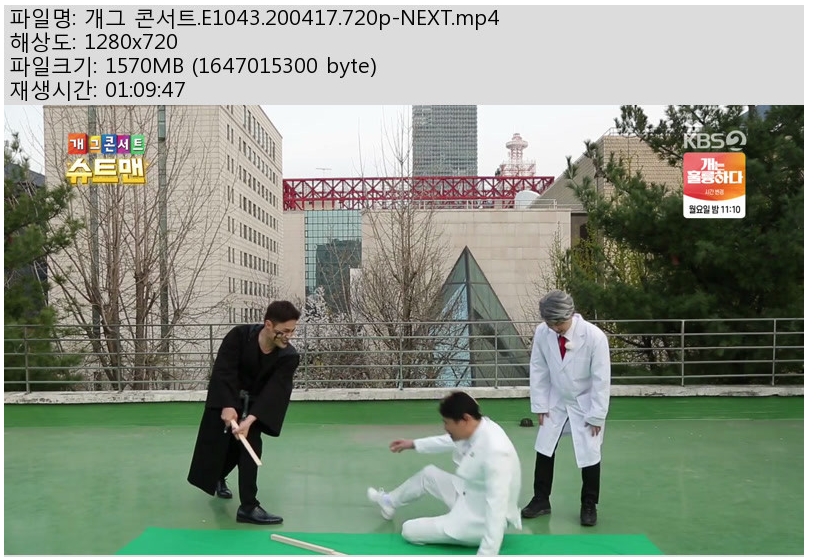 개.jpg