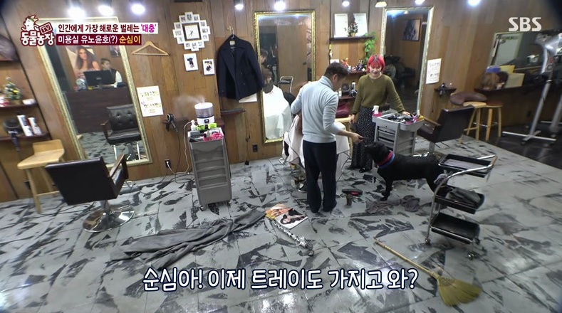 TV 동물농장.E955.200202.720p-NEXT.jpg