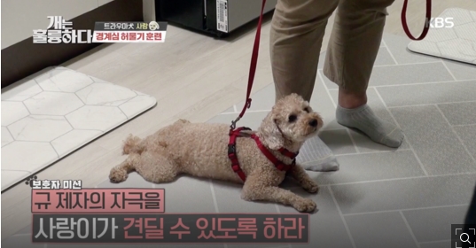행.jpg