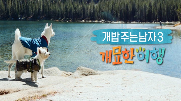 개묘한여행.jpg