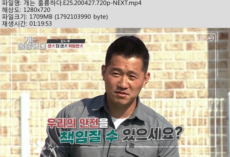 개는.jpg