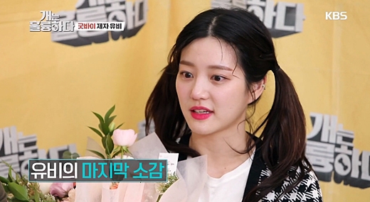 개는.jpg