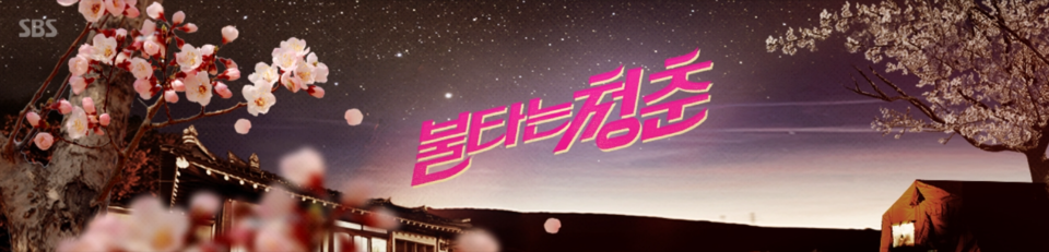 불타는 청춘.png
