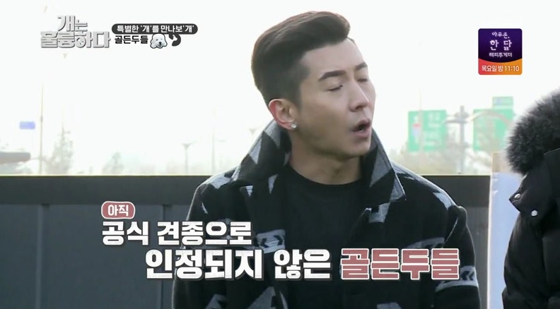 개는 훌륭하다.E15.200217.720p-NEXT.jpg