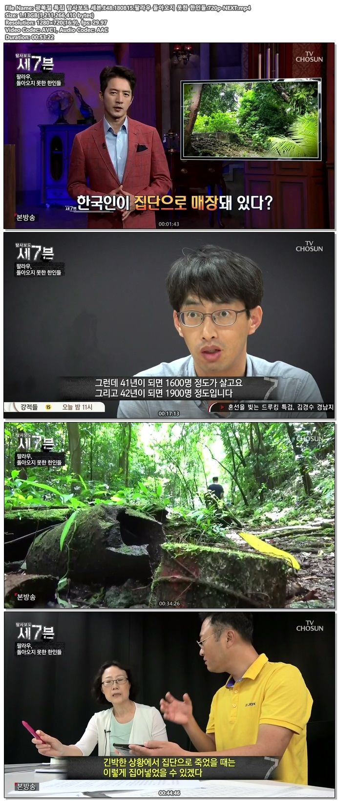 팔라우.jpg