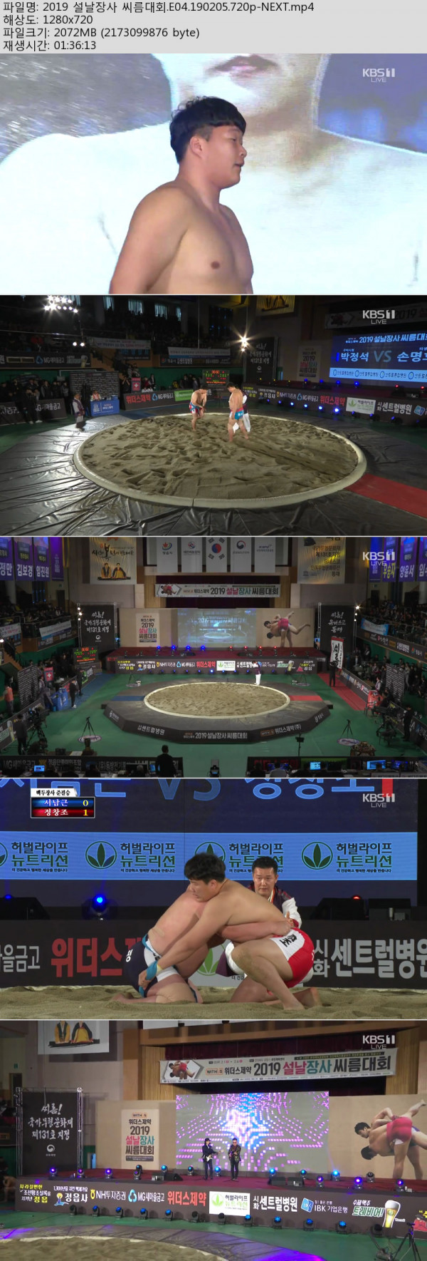 씨름.jpg