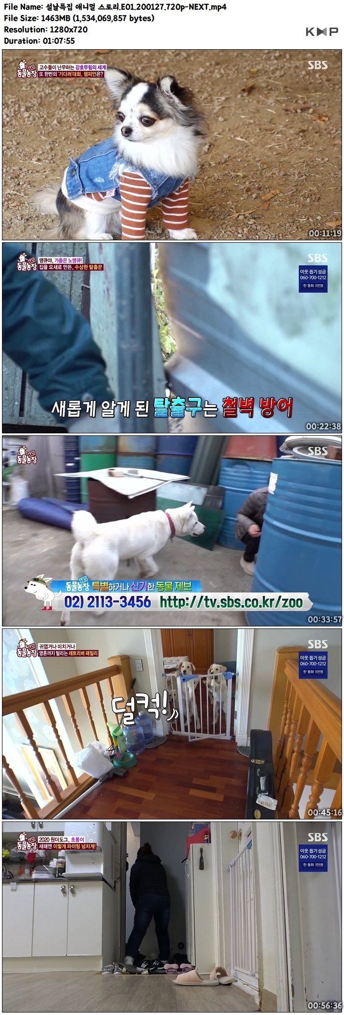 설날특집 애니멀 스토리8.jpg
