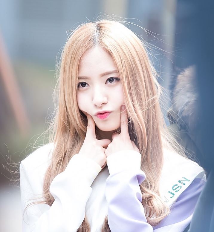 daun2.JPG
