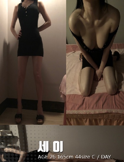 세이프사.jpg