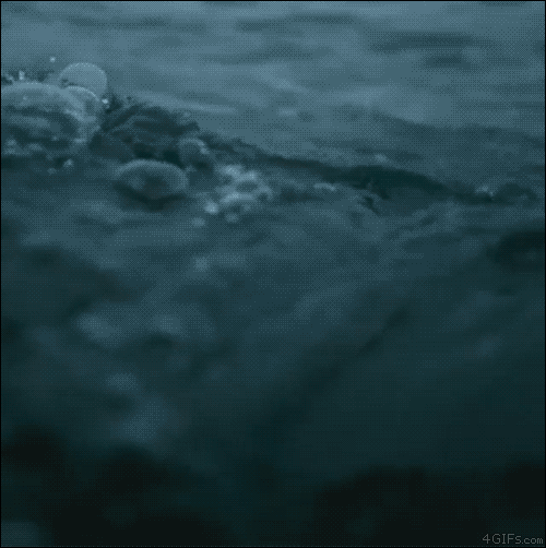 BAZyMO7K0kMRyGC-original.gif