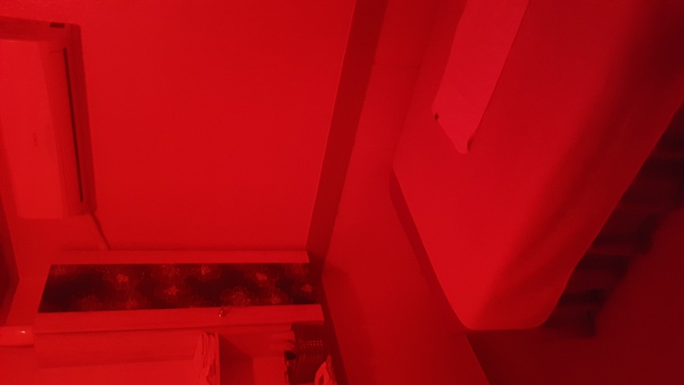 20190513_015232.jpg