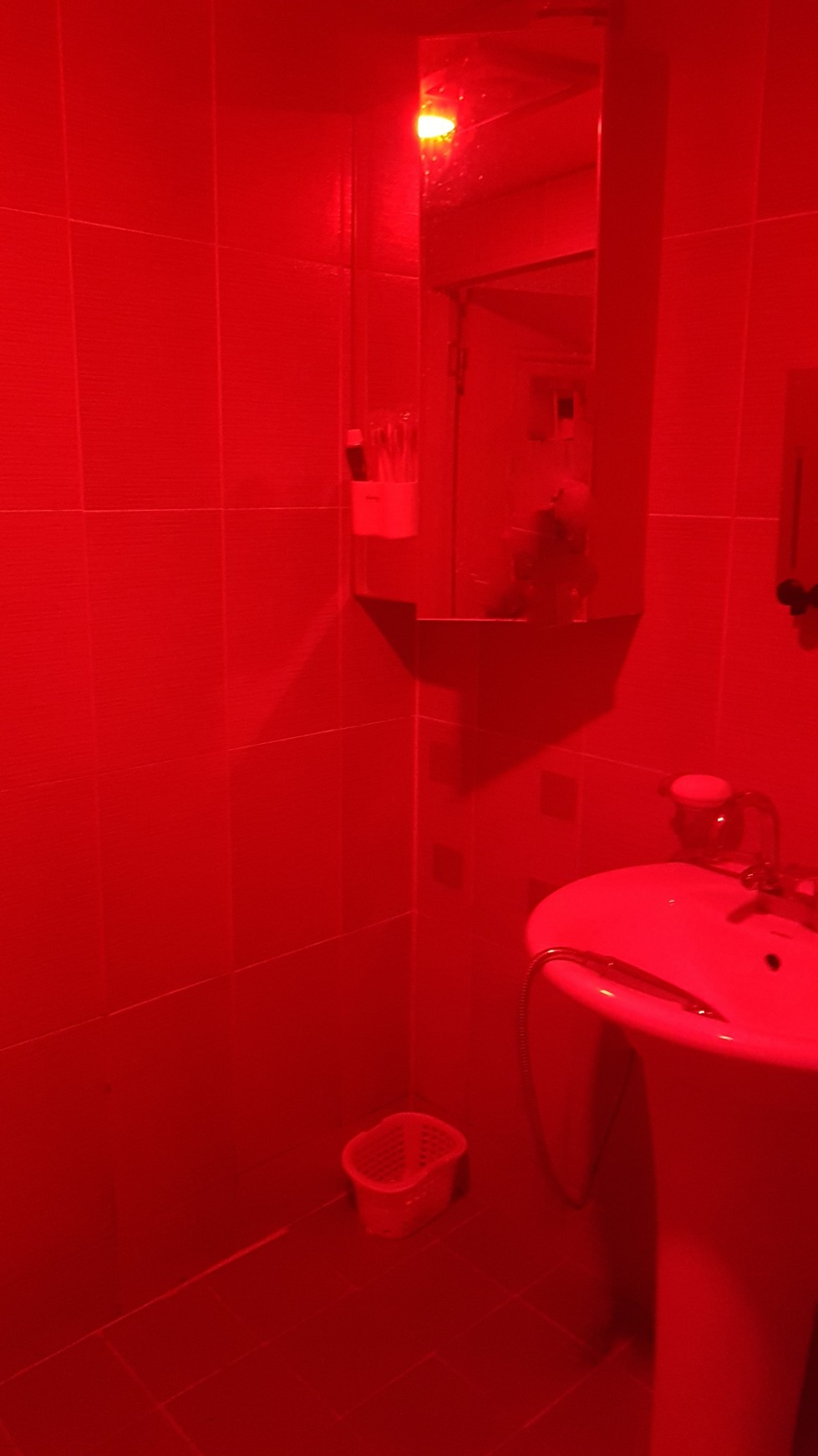20190513_015243.jpg