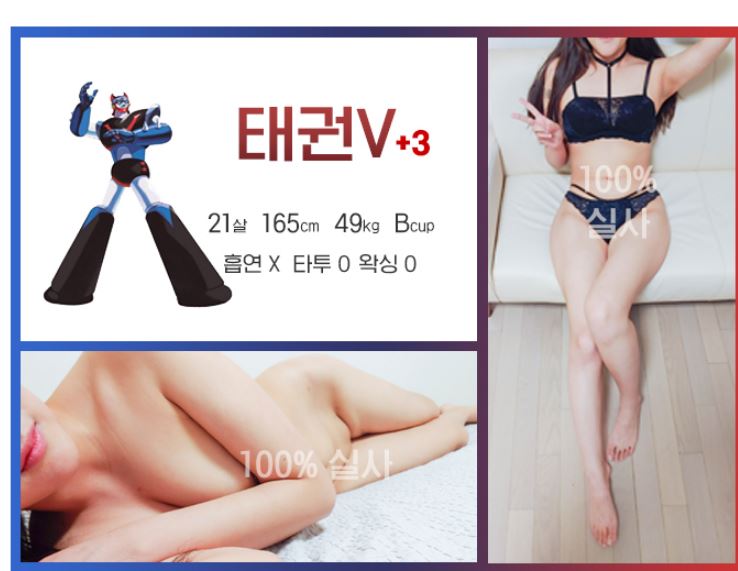 태권브이.JPG